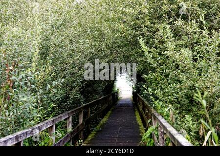 Brücke und Tunnel Stil, Steinhuder Meer, Niedersachsen, Deutschland Stockfoto