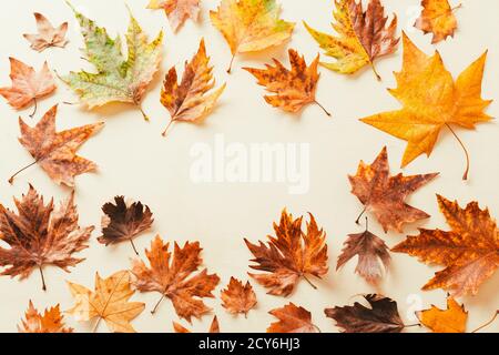 Rahmen aus Herbst-Ahornblättern. Kopie Gewürz Stockfoto