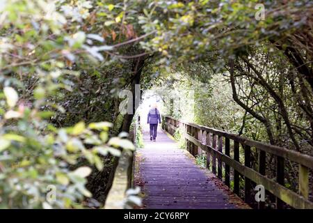 Brücke und Tunnel Stil, Steinhuder Meer, Niedersachsen, Deutschland Stockfoto