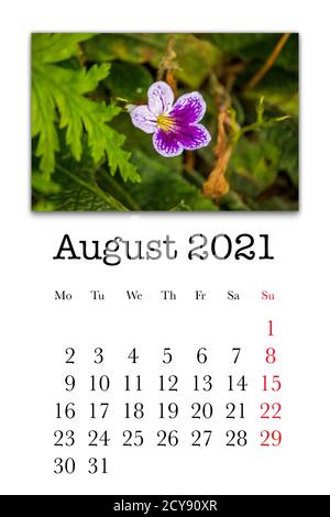Kalenderkarte für den Monat August 2021 Stockfoto