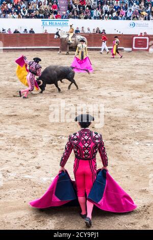 Ambato, Ecuador - Mar 15, 2015 - Stierkämpfer zu Fuß Duelle mit Stier während Karneval Stockfoto