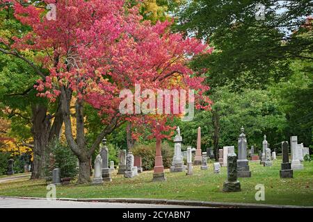 Toronto, Kanada - 1. Oktober 2020: Der Mount Pleasant Cemetery ist voller Bäume und sehr malerisch mit Herbstfarben. Stockfoto