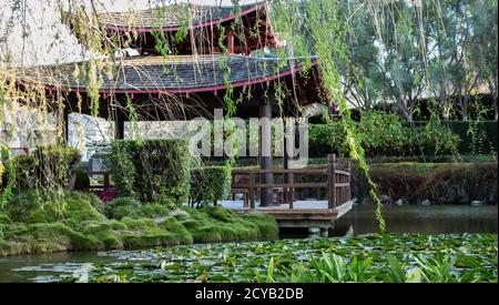 Chinesisches Pagodengebäude im Wassergarten mit Weidenbaum, Teich gefüllt mit Seerosen, Orangenbäumen Stockfoto