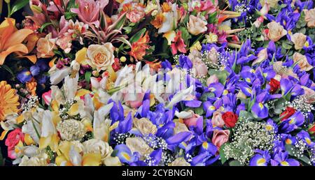 Hintergrund mit vielen verschiedenen bunten Blumen Stockfoto