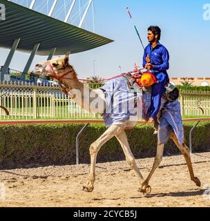 Dubai, VAE, Mar 21, 2018 - Man läuft Kamel während des Trainings für Rennen Stockfoto