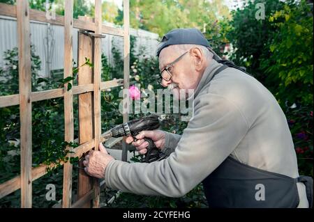 Glücklicher alter Mann repariert eine hölzerne Pergola für eine Kletterrose mit einer elektrischen Bohrmaschine. Alter Bauer mit einem Bohrer Stockfoto