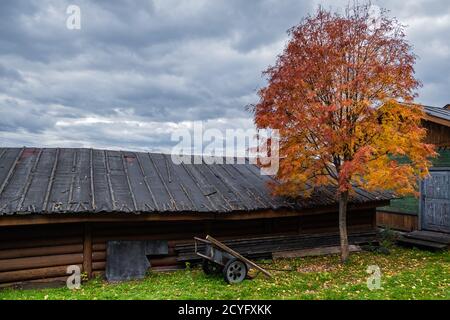 Herbstlandschaft. Charmantes altes Holzhaus am Straßenrand. Neben der Scheune befindet sich ein alter Wagen und ein leuchtend roter Eberesche. Die Atmosphäre der Ruhe. Stockfoto