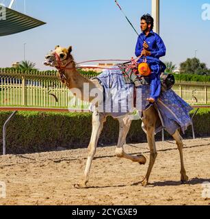 Dubai, VAE, Mar 21, 2018 - Man läuft Kamel während des Trainings für Rennen Stockfoto