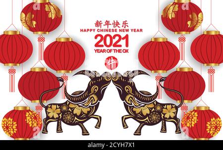 Happy Chinese New Year 2021 Hintergrund mit Laternen isoliert auf weißem Hintergrund (Chinesische Übersetzung Happy chinese New Year 2021, Jahr des Ochsen) Stock Vektor