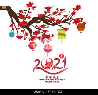 Frohes chinesisches neues Jahr 2021, Jahr des Ochsen mit niedlichen Cartoon Ox (Chinesische Übersetzung glückliches chinesisches neues Jahr 2021, Jahr des Ochsen) Stock Vektor