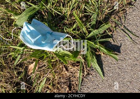 Leipzig, Deutschland. September 2020. Eine ausrangierte oder verlorene medizinische Gesichtsmaske liegt auf einer Wiese. Quelle: Peter Endig/dpa-Zentralbild/ZB/dpa/Alamy Live News Stockfoto