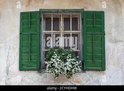 Fenster mit grünen Fensterläden aus Holz und weißen Blumen Stockfoto