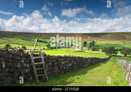 Im Spätsommer Sonnenlicht auf Stonebeck Gate Farm, Little Fryup Dale, North Yorkshire Moors National Park, Großbritannien. Stockfoto