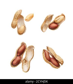 Differenz Winkel der Erdnüsse isoliert auf weißem Hintergrund Stockfoto