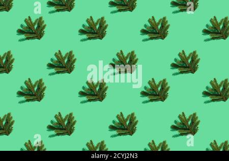 Minimale Muster Hintergrund von grünen Baum Zweig auf grünem Hintergrund . Neujahrskonzept. Flach Lay Draufsicht Quadrat Stockfoto