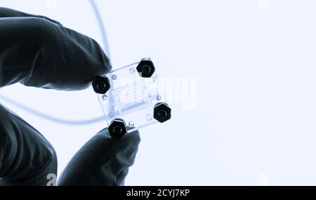 Organ auf Chip OOC und Labor auf Chip LOC - microfluidic Gerät Chip, der biologische Organe und Laborgerät simuliert. Prototyp des Design Lab-on-a Stockfoto