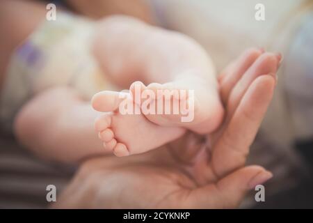 Babyfüße in den Händen der Mutter. Mutter und ihr Kind. Happy Family Konzept. Schönes konzeptuelles Bild der Mutterschaft. Die Mutter hielt das Baby in der Hand. Wom Stockfoto