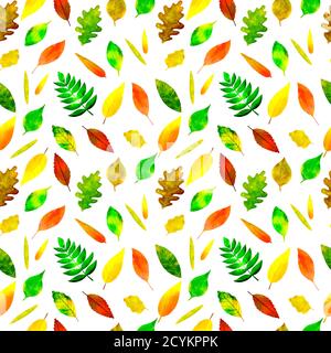 Nahtloses Muster Aquarell bunte Herbstblätter auf weiß Stockfoto