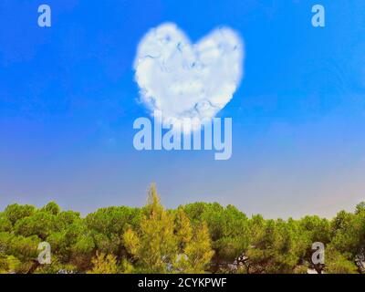 Herzförmige Wolke in blauem Himmel über Bäumen. Stockfoto