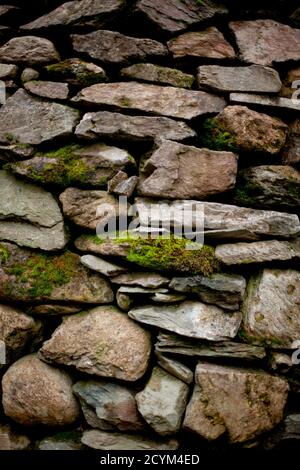 Eine Trockensteinmauer mit viel Moos, die auf ihr vor dem Dorf Clappersgate im Lake District im Nordwesten Englands wächst. 26 Dezember 20 Stockfoto