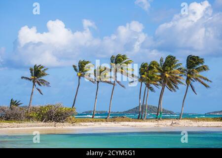 St. Vincent und die Grenadinen, Mayreau, Saltwhistle Bay Stockfoto