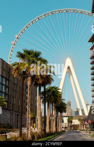 Dubai, VAE, 06/09/20. Dubai Eye (Ain Dubai by Meraas) größtes Riesenrad der Welt, mit den ersten installierten Passagierkabinen und Palmen. Stockfoto