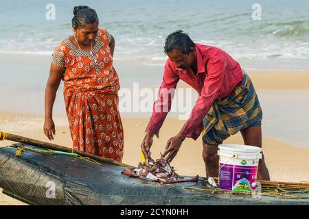Fischer in Lungi & Frau, die kleine Fische auf einem Fischfloß am belebten, populären Marari Beach sortiert; Mararikulam, Alappuzha (Alleppey), Kerala, Indien Stockfoto