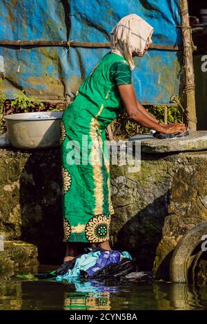 Frau waschen Kleidung auf einem Stein in der traditionellen Art und Weise durch die Backwaters dieses bekannten Kreuzfahrtdistrikt; Alappuzha (Alleppey), Kerala, Indien Stockfoto