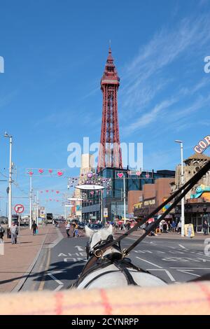 Blackpool Turm und Promenade von einer Pferdekutsche aus gesehen Stockfoto