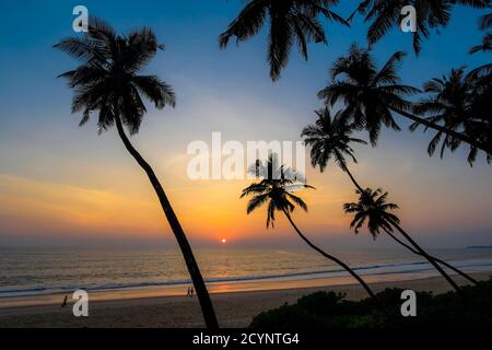 Schiefe Palmen bei Sonnenuntergang am wunderschönen, unberührten Kizhunna Beach, südlich von Kannur an der Nordküste des Staates; Kizhunna, Kannur, Kerala, Indien Stockfoto