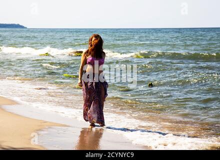 Dackel auf dem blauen Meer. Urlaub mit Haustier Stockfoto