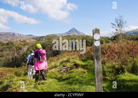 Wanderer wandern auf Fußweg in Snowdonia Nationalpark Hügel mit Wegweiser und Cnicht Berggipfel in der Ferne. Croesor, Gwynedd, Wales, Großbritannien Stockfoto