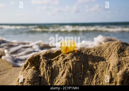 Bernstein im Sand vor dem Hintergrund der Meereswellen. Stockfoto