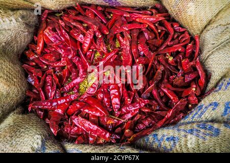 Ein Sack getrockneter roter Chilischoten an einem Stall in der Nähe des zentralen Marktes der Stadt. Stadtzentrum, Kannur, Kerala, Indien Stockfoto