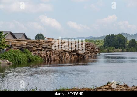 Holzlager an der Lieferstelle von Rohhölzern, die in der Regel auf einem Lastkahn zu den Sägewerken des Seguntor Industriegebiets in Sandakan, Sabah, kommen Stockfoto