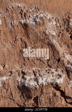 Salzablagerungen auf dem roten Sand der Mondlandschaft Valle de la Luna. Stockfoto