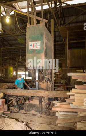 In einem Sägewerk im Industriegebiet Seguntor in Sandakan, Sabah, schneiden Arbeiter große Hölzer in Planken Stockfoto