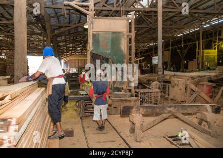 In einem Sägewerk im Industriegebiet Seguntor in Sandakan, Sabah, schneiden Arbeiter große Hölzer in Planken Stockfoto