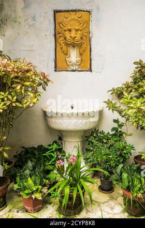 Bas Relief Detail im portugiesischen Kolonialstil Old Courtyard Hotel in Fort Cochin, das alte Zentrum; Princess St, Kochi (Cochin), Kerala, Indien Stockfoto