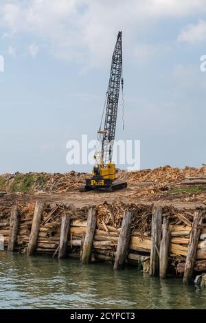 Ein Kran an der Lieferstelle für Rohhölzer (meist auf einem Lastkahn) in einer Sperrholzfabrik in Sandakan, Sabah, Malaysia. Stockfoto