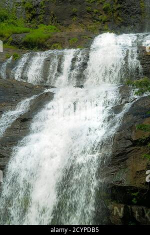 Cheeyappara Wasserfall kurz nach dem Monsun, eine beliebte Sehenswürdigkeit auf der Madurai nach Munnar Straße, fällt es 300m in 7 Stufen; Idukki Bezirk, Kerala, Indien Stockfoto