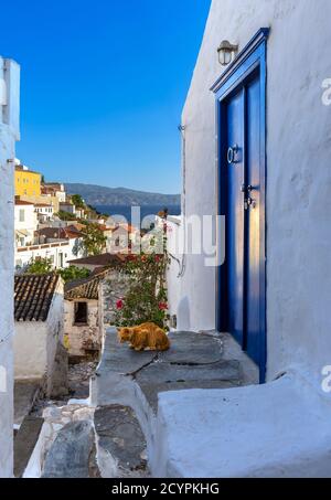 Ansicht der Hydra-Insel, Griechenland Stockfoto