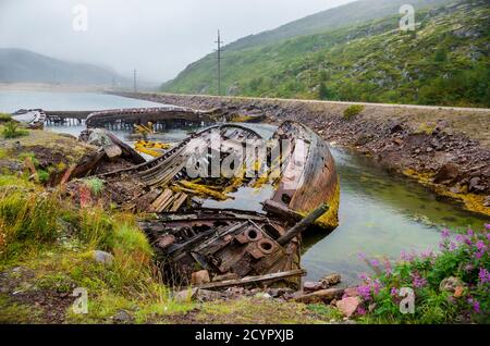 Friedhof der Fischerboote im Wasser der Barentssee, Teriberka, Russland. Stockfoto