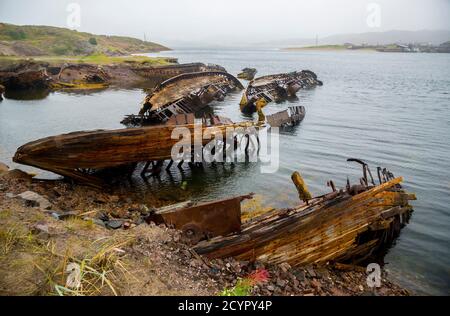 Friedhof der Fischerboote im Wasser der Barentssee, Teriberka, Russland. Stockfoto