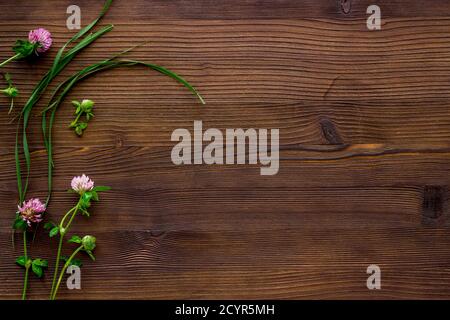 Medizin wilde Kräuter und Blumen Draufsicht Stockfoto
