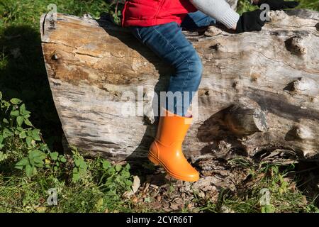 Nahaufnahme von Kinderfuß und -Bein in leuchtend orangefarbenen wellington-Stiefeln, die draußen bei Herbstsonne auf einem Baumstamm sitzen Stockfoto