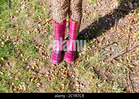 Nahaufnahme der Füße und Beine von Kindern in bunten gummistiefeln, die auf einem umgestürzten Baum auf dem Land sitzen, bei Herbstsonne Stockfoto