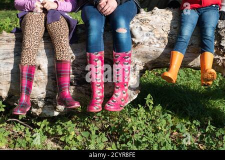 Nahaufnahme der Füße und Beine von Kindern in bunten gummistiefeln, die auf einem umgestürzten Baum auf dem Land sitzen, bei Herbstsonne Stockfoto