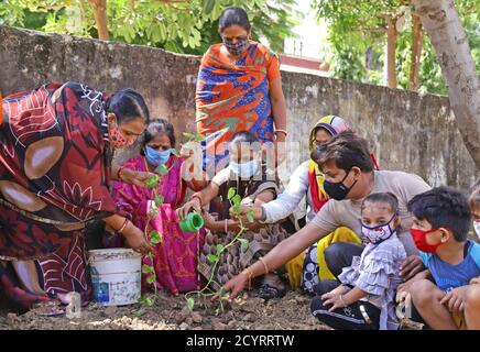 Beawar, Indien. Oktober 2020. Lehrer und Anganwadi-Arbeiter Pflanzen anläßlich Mahatma Gandhis 151. Geburtstag in Beawar einen Sprössling in einem Schlagloch. (Foto von Sumit Saraswat/Pacific Press) Quelle: Pacific Press Media Production Corp./Alamy Live News Stockfoto