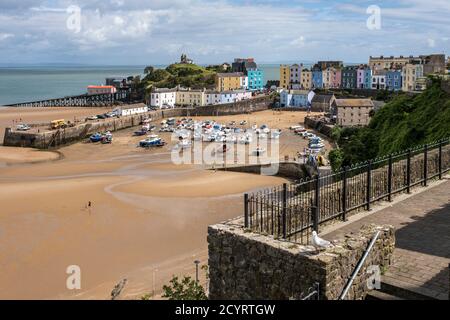 Bunte Häuser überblicken den Hafen und North Beach bei Ebbe, Tenby, Pembrokeshire Coast National Park, Pembrokeshire, Wales Stockfoto